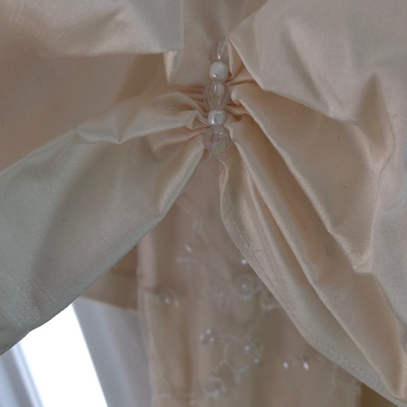 BNWT- Raw silk and Italian lace dress - Picture 3 of 3